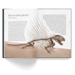 NHM Shop A History of Life in 100 Fossils* Science Books | Museum-related Books