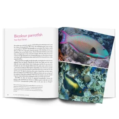 NHM Shop A Little Gay Natural History* Coffee-table Books | Science Books