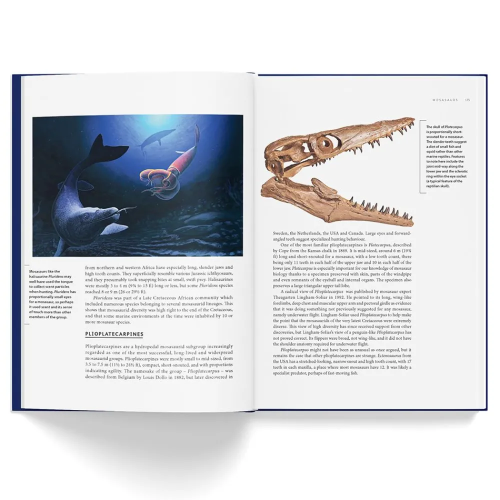 NHM Shop Ancient Sea Reptiles: Plesiosaurs, Ichthyosaurs, Mosasaurs & More* Coffee-table Books | Science Books