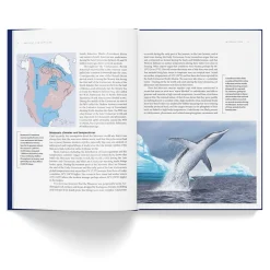 NHM Shop Ancient Sea Reptiles: Plesiosaurs, Ichthyosaurs, Mosasaurs & More* Coffee-table Books | Science Books