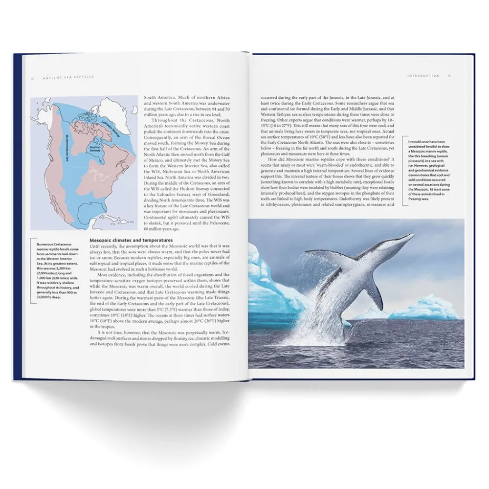 NHM Shop Ancient Sea Reptiles: Plesiosaurs, Ichthyosaurs, Mosasaurs & More* Coffee-table Books | Science Books