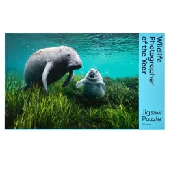 NHM Shop As Clear as Crystal Jigsaw Puzzle: Wildlife Photographer of the Year 60* Kits, Puzzles & Activities | Gifts Under £50