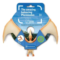 NHM Shop Balancing Pteranodon* Kits, Puzzles & Activities | Dinosaur Toys