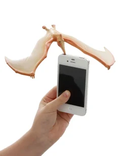 NHM Shop Balancing Pteranodon* Kits, Puzzles & Activities | Dinosaur Toys