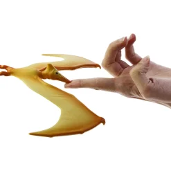 NHM Shop Balancing Pteranodon* Kits, Puzzles & Activities | Dinosaur Toys