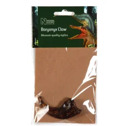 NHM Shop Baryonyx Claw Replica* Dinosaur Decor & Accessories