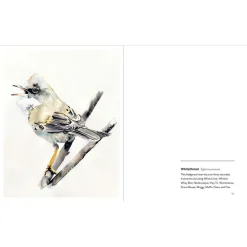 NHM Shop Birds: Paintings of 100 British Birds* Coffee-table Books