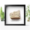 NHM Shop Cambrian Quartzite Geology Specimen in a Box Frame* Homeware & Decor | Father’s Day