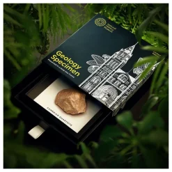 NHM Shop Cambrian Quartzite Geology Specimen in a Box Frame* Homeware & Decor | Father’s Day