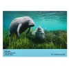 NHM Shop Cute Notecard Set: Wildlife Photographer of the Year 60* Stationery | Wildlife Photographer Of The Year