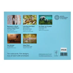 NHM Shop Cute Notecard Set: Wildlife Photographer of the Year 60* Stationery | Wildlife Photographer Of The Year