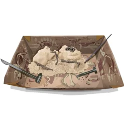 NHM Shop Dig a T. rex Skeleton Kit* Kits, Puzzles & Activities | Dinosaur Games & Activities