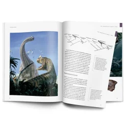 NHM Shop Dinosaurs: How They Lived and Evolved*Kids Science Books | Museum-related Books