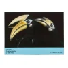 NHM Shop Favourites Notecard Set: Wildlife Photographer of the Year 60* Stationery | Wildlife Photographer Of The Year
