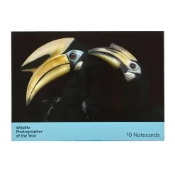NHM Shop Favourites Notecard Set: Wildlife Photographer of the Year 60* Stationery | Wildlife Photographer Of The Year