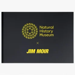 NHM Shop Fern Print by Jim Moir* Homeware & Decor | Father’s Day