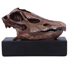 NHM Shop Fern the Diplodocus Replica Skull* Dinosaur Decor & Accessories | Father’s Day