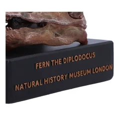 NHM Shop Fern the Diplodocus Replica Skull* Dinosaur Decor & Accessories | Father’s Day