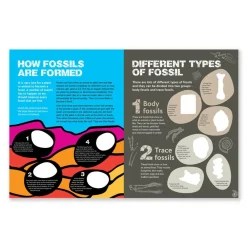 NHM Shop Fossils Sticker Book*Kids Activity Books For Kids