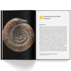 NHM Shop Fossils: The Essential Guide* Science Books | Museum-related Books