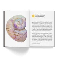NHM Shop Fossils: The Essential Guide* Science Books | Museum-related Books