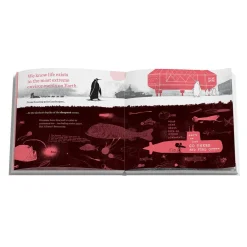 NHM Shop Hello Space: Is Anybody Out There?*Kids Museum-related Books | Science Books For Kids
