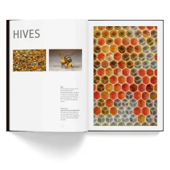 NHM Shop Honey Bees*Kids Coffee-table Books | Science Books