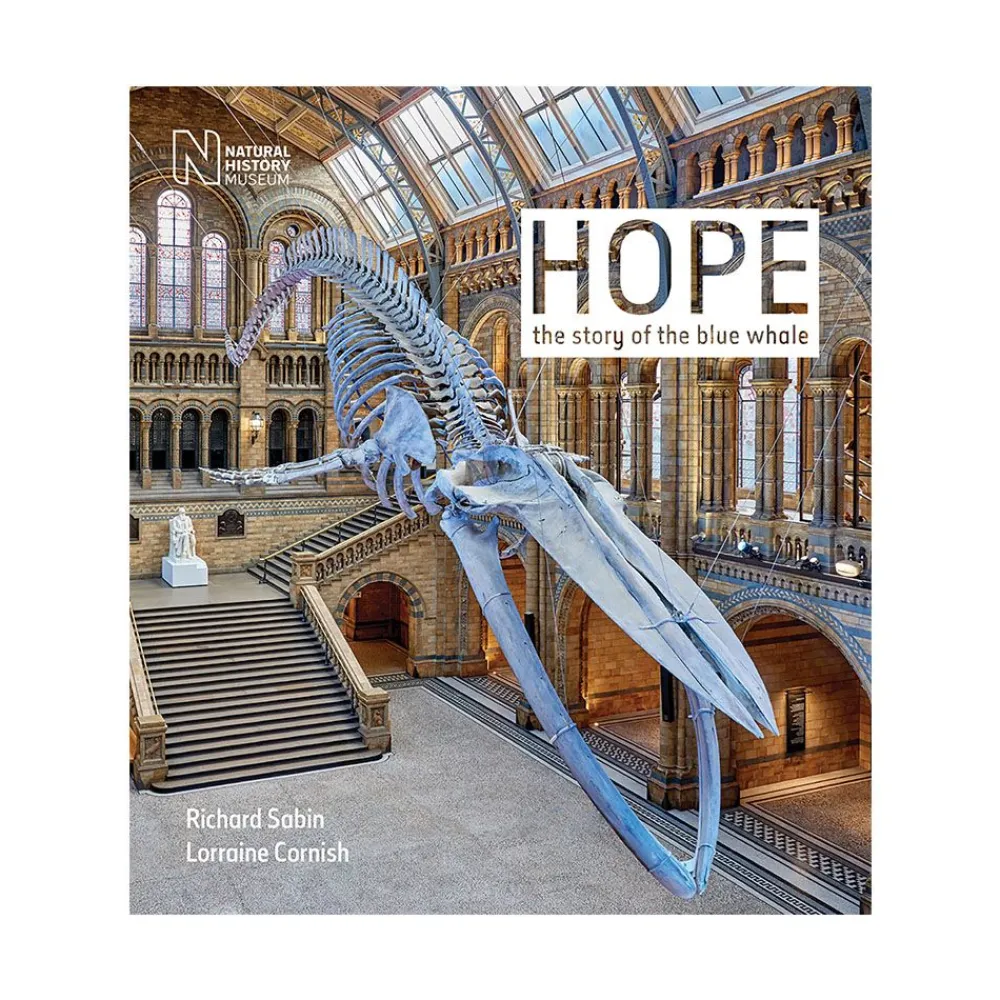 NHM Shop Hope: The Story of the Blue Whale*Kids Museum-related Books | Story Books For Kids