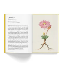 NHM Shop In the Name of Plants* Science Books | Museum-related Books