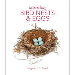 NHM Shop Interesting Bird Nests & Eggs* Science Books | Museum-related Books