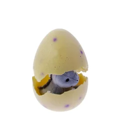NHM Shop Itsy Bitsy Diplodocus in Egg*Kids Toys | Dinosaur Toys