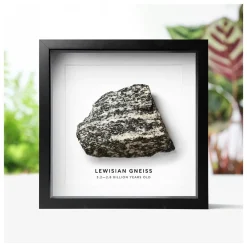 NHM Shop Lewisian Gneiss Geology Specimen in a Box Frame* Homeware & Decor | Father’s Day