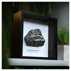 NHM Shop Lewisian Gneiss Geology Specimen in a Box Frame* Homeware & Decor | Father’s Day