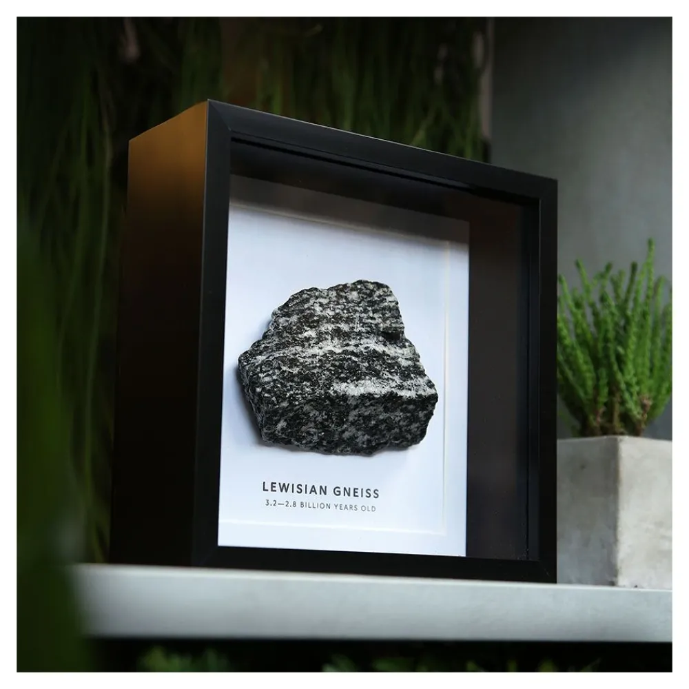 NHM Shop Lewisian Gneiss Geology Specimen in a Box Frame* Homeware & Decor | Father’s Day