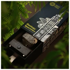 NHM Shop Lewisian Gneiss Geology Specimen on a Stand* Homeware & Decor | Father’s Day