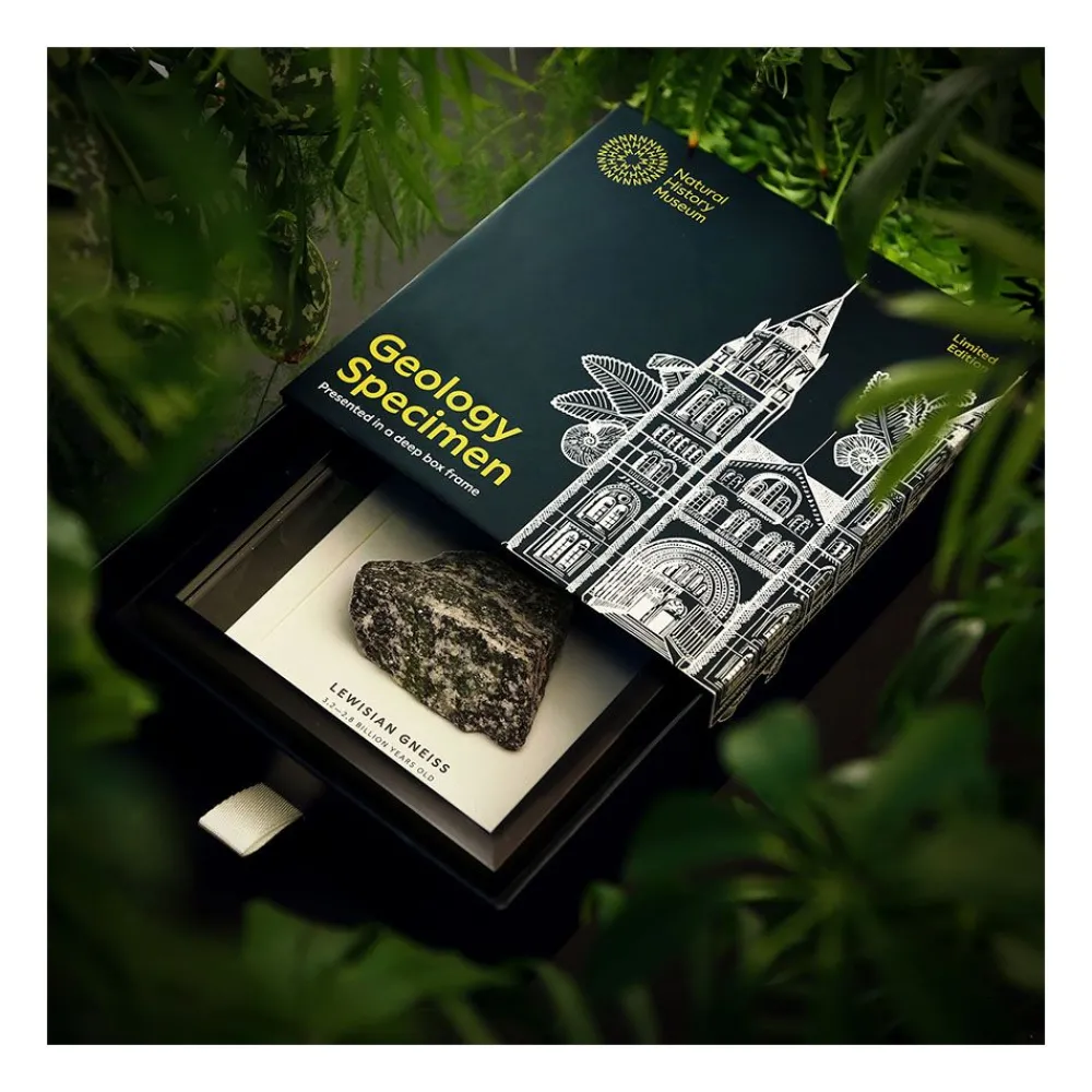 NHM Shop Lewisian Gneiss Geology Specimen in a Box Frame* Homeware & Decor | Father’s Day