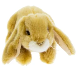 NHM Shop Lop-eared Rabbit Soft Toy* Soft Toys