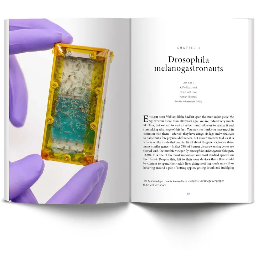NHM Shop Metamorphosis: How Insects are Changing our World* Science Books | Museum-related Books