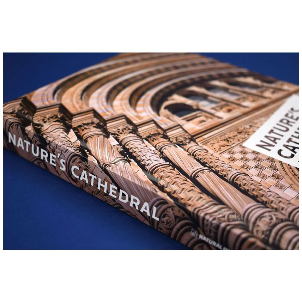 NHM Shop Nature's Cathedral: A Celebration of the Natural History Museum Building* Coffee-table Books | Museum-related Books