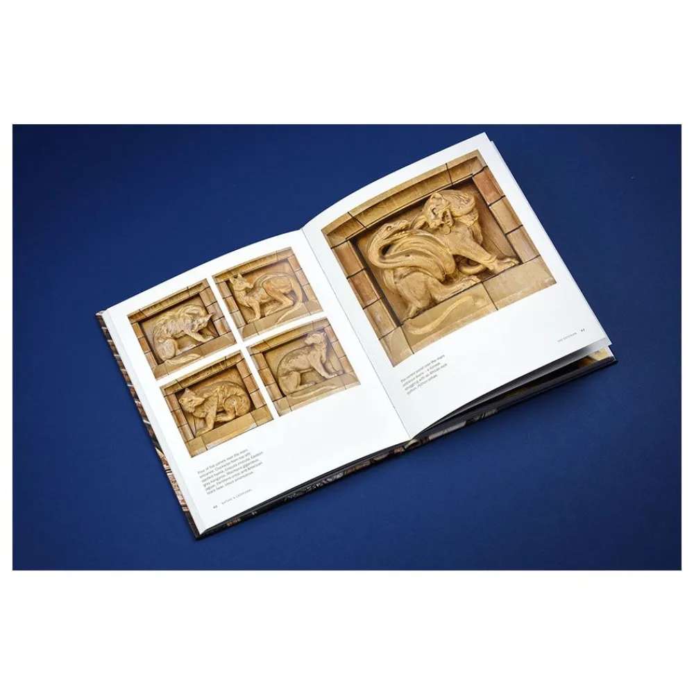 NHM Shop Nature's Cathedral: A Celebration of the Natural History Museum Building* Coffee-table Books | Museum-related Books