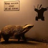 NHM Shop No Access Wall Print* Current Wildlife Photographer Of The Year | Wildlife Photographer Of The Year
