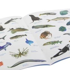 NHM Shop Ocean Sticker Book*Kids Activity Books For Kids