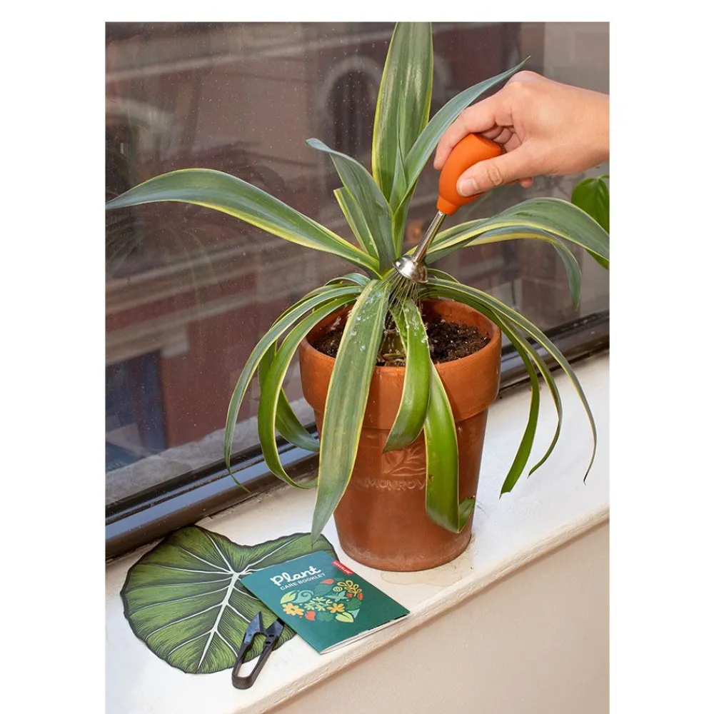 NHM Shop Plant Care Kit* Homeware & Decor