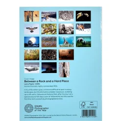 NHM Shop Postcard Book: Wildlife Photographer of the Year 60* Stationery | Wildlife Photographer Of The Year