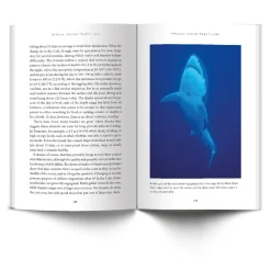 NHM Shop Sharks: Ocean Travellers* Science Books