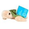 NHM Shop Small Green Sea Turtle Soft Toy*Kids Soft Toys | Toys