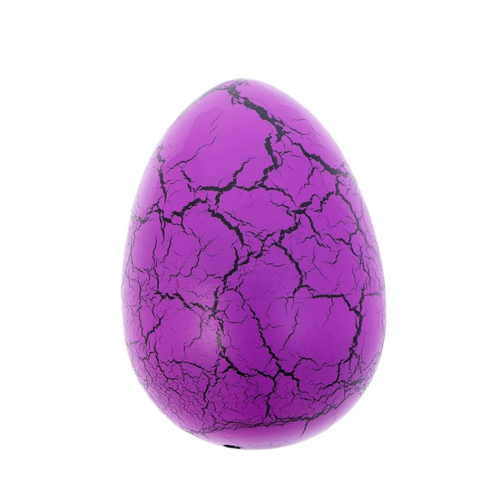 NHM Shop Stegosaurus Hatching Egg in a Box*Kids Toys | Dinosaur Toys