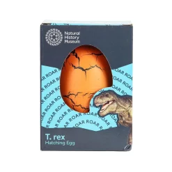 NHM Shop T. rex Hatching Egg in a Box*Kids Toys | Dinosaur Toys