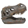 NHM Shop T. rex Small Replica Skull* Homeware & Decor | Dinosaur Decor & Accessories