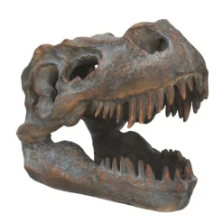 NHM Shop T. rex Small Replica Skull* Homeware & Decor | Dinosaur Decor & Accessories